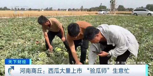 4.21吃瓜事件,揭秘网络舆论的风云变幻