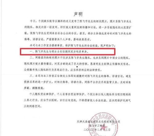 陈飞爆料视频大全集下载,揭秘幕后真相，深度解析事件始末
