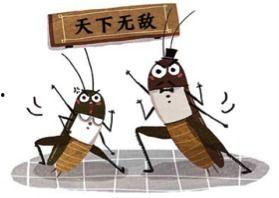 我是头条最忠实的读者