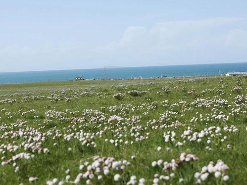 今日头条草原小区房价,涨跌背后的市场逻辑”