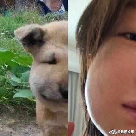 拔完牙吃瓜,瓜果美食助康复之旅