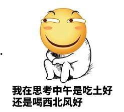 瞍吃瓜.我爱你 火,揭秘网络热语背后的情感共鸣