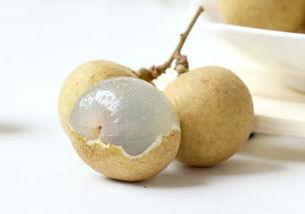 月经可以吃乳瓜吗