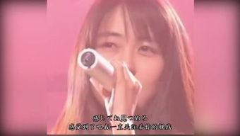 明星王苑苑,星光璀璨的演艺之路