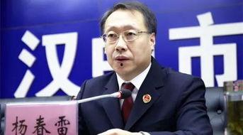 王文坡新闻头条,揭秘背后故事，探寻事件真相