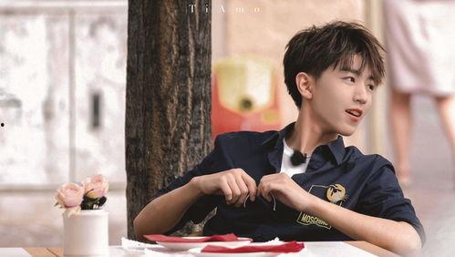 适合电脑桌面壁纸明星,电脑桌面壁纸中的明星风采