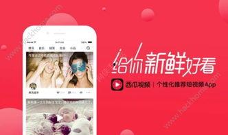 头条视频改变顺序怎么改