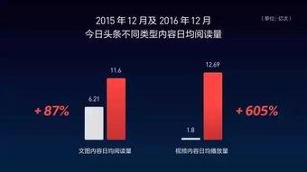 武汉头条创业视频,创业故事背后的激情与智慧