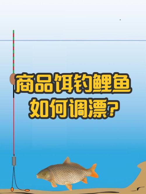 渔头条,揭秘海洋捕捞业的最新动态与挑战